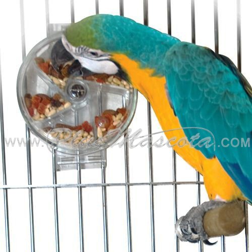 loro juguete interactivo